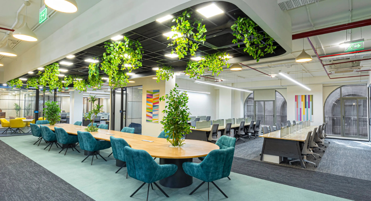 Untitled design (13)